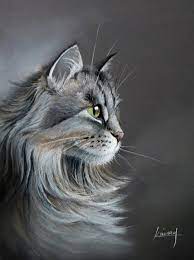No need for any experience and skills, just just follow the steps! Angora Cat Profile 2016 Pastel Drawing By Karine Villard Cat Profile Angora Cats Animal Drawings