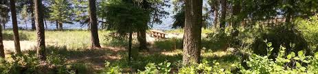 Maybe you would like to learn more about one of these? Rv Parks Campgrounds Near Post Falls Id Outdoorsy