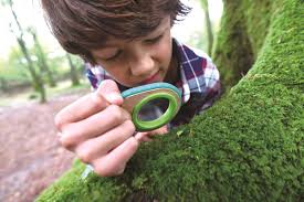 Spielzeug für groß und klein. Kinder Natur Detektiv Set Holz Spielzeug Peitz
