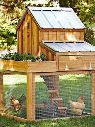 It is available to purchase from frank's upgrade table from the beginning of the game, and is the cheapest upgrade at only 300. Cool 10 Herb Garden With Small Chicken Coop Plans Http Gardenmagz Com 10 Herb Garden With Sma Galinheiro Desenhos Galinheiro Gaiolas De Galinha Para Quintal