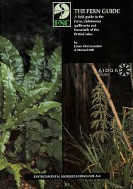 Fern is a vascular, seedless plant that belongs to the group pteridophyta. The Fern Guide A Field Guide To The Ferns Clubmosses Quillworts And Horsetails Of The British Isles Aidgap S Amazon De Merryweather James Hill Michael Fremdsprachige Bucher