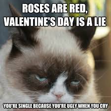 Missed sending a holiday card? 75 Funny Valentine Memes To Get You Through V Day Sayingimages Com