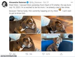 Jul 04, 2021 · among mylo's canine friends is dodger, who belongs to captain america actor chris evans. Chris Evans Cuddles With A Cute Puppy While Channeling His Knives Out Look With A Cable Knit Sweater Newsy Today