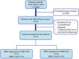 Male breast cancer does occur and it looks on a mammogram the same as female. Long Term Survival And Brca Status In Male Breast Cancer A Retrospective Single Center Analysis Bmc Cancer Full Text