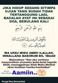 Pin By Insights On Dua Zikr Beautiful Quran Quotes Quran Quotes Quotes