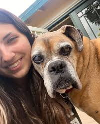 Patrick Kirkpatrick (@patricktheboxerdog) • Instagram photos and videos