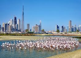 Sunbathe and party on the beach at nikki beach. 25 Top Rated Tourist Attractions Things To Do In Dubai Planetware