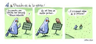 Apprendre à faire vos propres cosmétiques maison naturels et y intégrer vos cueillettes? Prends En De La Graine Cekabds Jimdo Page