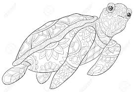The spruce / evan polenghi these turkey coloring pages will get all the kids excited. A Cute Turtle With Ornaments Image For Relaxing Activity A Coloring Book Page For Adults Zen Art Style Illustration For Print Poster Design Royalty Free Cliparts Vectors And Stock Illustration Image 114225047