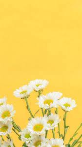 Wallpaper Iphone Tumblr Kuning Flower Background Wallpaper Yellow Flower Wallpaper Iphone Wallpaper Yellow