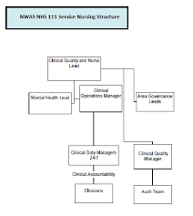 Organisational Structure Chart For All Nursing Services A