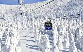 Sapaan angin sejuk di muka, sewaktu berjalan sekitar bandarnya adalah sebuah pengalaman ringkas namun menakjubkan, selain cosplay gaya jepun membawa kita ke kehidupan lakon sebenar masyarakat di sini, amat menyeronokkan. Rancang Nak Main Salji Di Jepun Tohoku Jadi Destinasi Affordable Terbaru Musim Sejuk Remaja