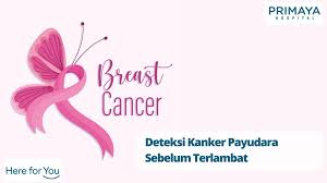 Selain itu pasien merasa sering pusing dan lelah. Deteksi Kanker Payudara Sebelum Terlambat Primaya Hospital
