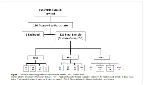 patients with chronic obstructive pulmonary disease have a