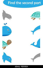 find the second part of ocean animals for children fun education game for kids educational task for the development of logical thinking preschool w stock vector image art alamy