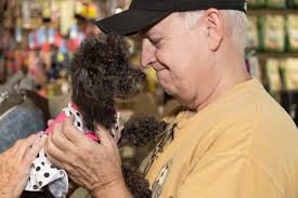 Three Dog Bakery's 'Pawty' Helps Epilepsy Patient's Dream Come True