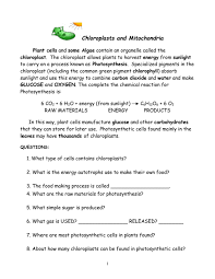 The mitochondria, in both plants and animals, is the site of most of the cell's production of atp, which powers cell activities like making proteins. Chloroplasts And Mitochondria