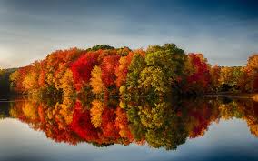 Download in under 30 seconds. The Science Behind Fall Foliage Case News