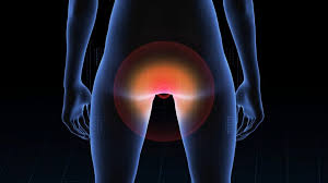 Anus. What is it? Parts of it. Anal Cancer. Anal Sex Porn | V For Vibes