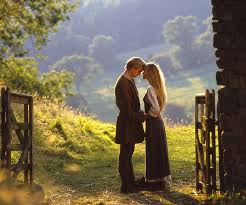The princess bride is a 1973 fantasy romance novel by american writer william goldman. Everything I Needed To Know About Marketing Strategy I Learned From The Princess Bride