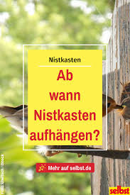 Sobald sie den richtigen standort und zeitpunkt gewählt haben, müssen sie die direkte position am baum oder der hauswand anhand der himmelsrichtung bestimmen. Ab Wann Nistkasten Aufhangen Selbst De Nistkasten Aufhangen Nistkasten Vogel Im Garten