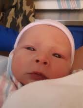 Obituary information for Rebel Phoenix Finchum