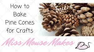 How to clean pine nuts from garbage with water. How To Bake Pinecones To Use Them For Crafts Youtube