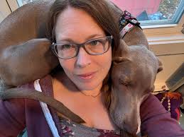 Baby Finn and his friends picture in Weimaraner group