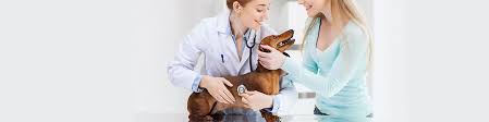Check spelling or type a new query. Dia Del Veterinario En Colombia