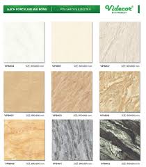 Catalogue gạch Mikado bao gồm những gì? Cập nhật mẫu 2024