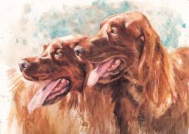 Other breeders who supported this movement include the popularity of the irish setter peaked in the united states during the 1970s when a book and movie came out featuring big red. Can This Dog Hunt