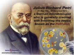 La piastra Petri e il suo ideatore