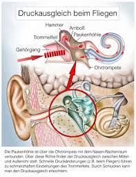 Druck Auf Den Ohren Im Flugzeug Ursachen Beschwerden Therapie Gesundpedia De