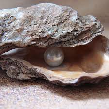 Image result for Pearl