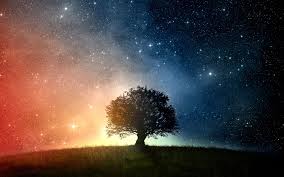 Space Trees Grass Stars Wallpapers Hd Tree Wallpaper Star Wallpaper Desktop Background Images