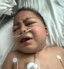 Jamie Revis's Instagram, Twitter & Facebook