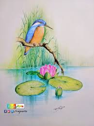 Quiet Nature Color Pencil Art Nature Art Drawings Color Pencil Art Color Pencil Illustration Another use of the background color. nature art drawings color pencil art