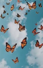 We did not find results for: 130 Butterflies Ideas In 2021 Butterfly Art Beautiful Butterflies Butterfly Room