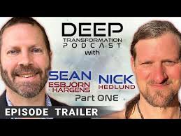 What is the metacrisis?