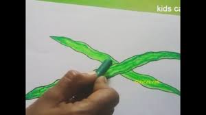 How To Draw Drumsticksstep By Step Easily For Beginners Vegetables Drawing And Coouring Youtube Drawing is great for your kid, especially if he does not feel confident enough to express himself. how to draw drumsticksstep by step easily for beginners vegetables drawing and coouring