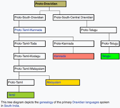 The tamil alphabet has 12 vowels and 18 consonants. Is There Any Difference Between Telugu And Tamilian Quora