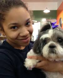 Muttville's Danny Boy: Bringing "Bark-It" List Joy to Hospice Dogs by Vicki  Holt