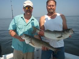 Maryland Angler's Log