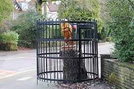 Welcome to our new members! Bailey Goodman, Seth Hilditch, Lauren Bryant,  Sarah Clossick, Steve Fitzhenry, Tammie Hardin, Luke Carsley