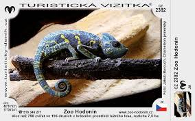 Find news, complete overview for april 2021 on goout. Zoo Hodonin