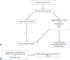 Treatments include laser hair removal, cosmetic injectables, laser skin treatments for problem skin and more. Onychomycosis Journal Of The American Academy Of Dermatology