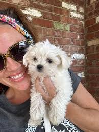 Iola Henry's Instagram, Twitter & Facebook