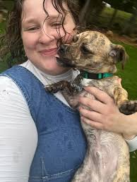 Roommate Wanted in Chicago: 2bed/2bath Apartment in Uptown, Edgewater, or  Rogers Park