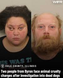 People in Godley are now asking for help as a growing pack of dogs has  started to wander throughout their neighborhood overnight. Residents now  say the dogs are getting bolder and are