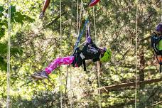 Kids Tree Climbing